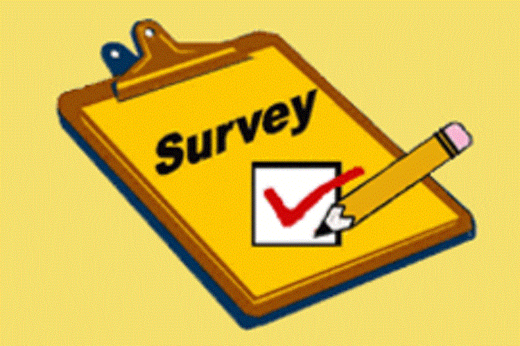 packers-movers-survey